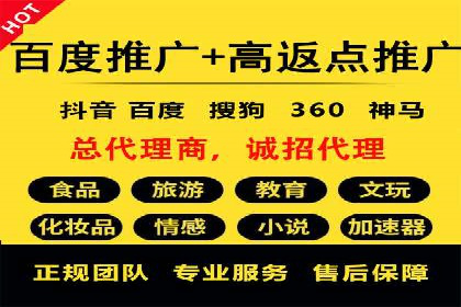 某公司通过百度竞价实现业务快速增长的案例